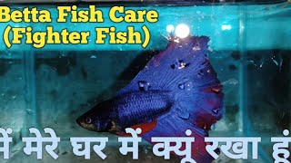 Betta fish Care Fighter Fish vlogs bettafishfishbettafishvlogfishvlogpetsimportedbettafish [upl. by Sibby]