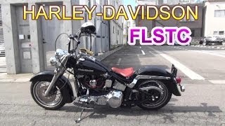 ハーレーダビッドソン FLSTC Harley‐Davidson [upl. by Alamap]