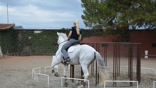 Working equitation at Haras do Castanheiro in Brazil with Marijke de Jong [upl. by Ziladnerb]