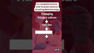 basics of cell culture introduction to cell culture unveiling biotechnology [upl. by Yelak]