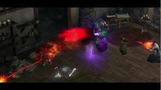 Diablo III  Enter cains house in New Tristram [upl. by Henning]