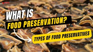 Food Preservatives – Types of Food Preservatives – Food Science amp Technology [upl. by Myrvyn858]