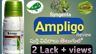 Syngenta Ampligo insecticide Full details తెలుగులో  Ampligo prizedosereview by Agri mentor [upl. by Neile]