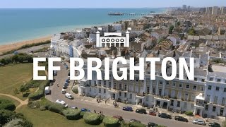 EF Brighton – Campus Tour [upl. by Genvieve]