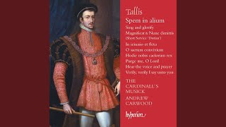 Tallis Spem in alium [upl. by Irtak289]