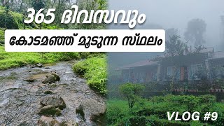 KUHI the mist  365 ദിവസവും കോടമഞ്ഞ് മൂടുന്ന സ്ഥലം  Forest Stay  Budget Resort in munnar [upl. by Atnuhs]