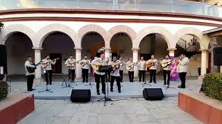 El cuerudo Tamaulipeco  Rondalla Magisterial de Tamaulipas [upl. by Yann]