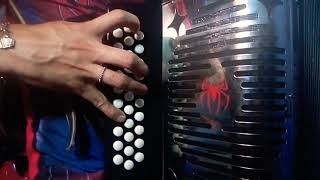 Como Tocar  El Dolor Del Micro  Cartel de Santa ft Julieta Venegas  Acordeon de Sol 2019 [upl. by Bertina11]