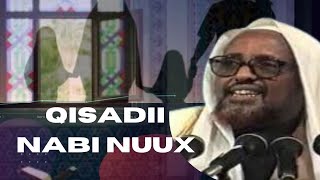 qisadii Nabi nuux sheekh cumar faaruuq [upl. by Iams279]