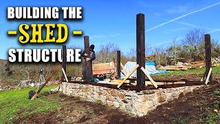 Building the Main Structure of My Wooden Shed  S2E6 [upl. by Dinsdale]