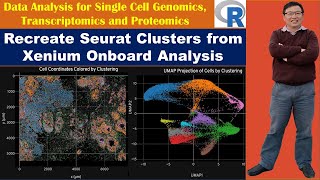 Recreate Seurat Cell Clusters from Xenium Onboard Analysis [upl. by Terb107]