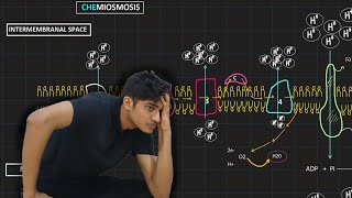 Oxidative Phosphorylation  MDCAT Biology [upl. by Noyad]