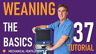 Weaning From Mechanical Ventilation [upl. by Ochs]