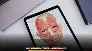 Sommaire ： Sciences SVT – Bac Mathématiques [upl. by Lisabeth130]