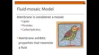 BI177 Chapter 5 Biological Membranes  Part 1 of 3 [upl. by Salohcin]