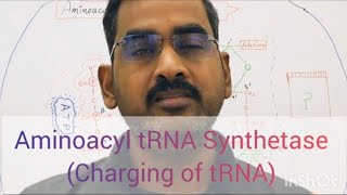 Aminoacyl tRNA Synthetase Part I ChargedtRNA [upl. by Lleryd]