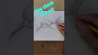 Dinosaur and shark sketchbook sketches youtubegrowth monetization [upl. by Eninotna]