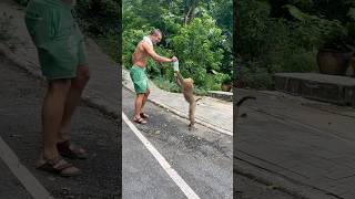 Monkey🐒 attacked us in thailand😳 [upl. by Rue]