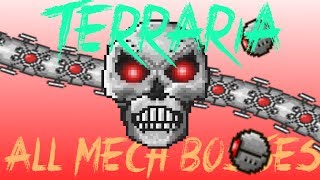 Terraria 123 All Mechanical Bosses AT ONCE  Skeletron Prime Destroyer The Twins NO BUFFS [upl. by Shermy]