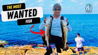 Packery Channel Jetty Fishing… Corpus Christi TX 🔥 [upl. by Elison]