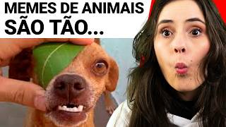 OS MELHORES MEMES DE ANIMAIS QUE A GENTE JÁ VIU KKKKKKKKKKKKK  Dearo e Manu [upl. by Teilo]