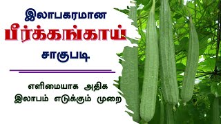 இலாபகரமான பீர்க்கங்காய் சாகுபடி  Profitable Agriculture  netsurfbiofitresult netsurfproduct [upl. by Ayidan918]