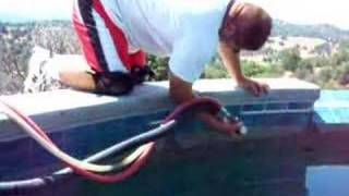 New Way to Clean PoolTile  HiTech Pool Tile Cleaning Video [upl. by Lleze]