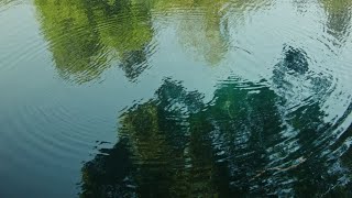 Laurelhurst Reflections BMPCC OG Footage [upl. by Bo798]