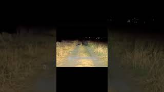 Avoid Abandoned Roads In Nights😱 ghost leftysays paranormal haunted [upl. by Temhem]