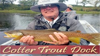 October 2 2024 Arkansas Trout Fishing Report [upl. by Kcirdnekal]