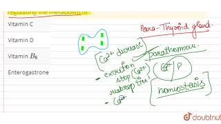 Parathormone influences calcium absorbton in the small intestine by regulating the metabolim of [upl. by Repotsirhc]