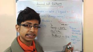 Animal cell culture 9  culture media [upl. by Immot]