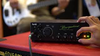 Strings Quick Demo  Bergantino Forte Bass Amp [upl. by Edroi]