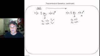 Cinelecture 77  Cytoplasmic Inheritance Genomic Imprinting [upl. by Olav]