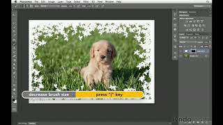 Photoshop Tutorial  How to create custom borders [upl. by Anabelle]