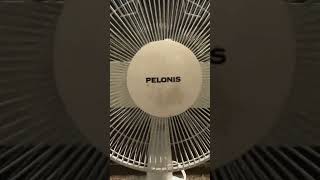 White Pelonis Table Fan Video 3 [upl. by Enelloc]