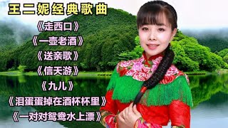 王二妮《走西口》《一壶老酒》《送亲歌》《信天游》《九儿》 [upl. by Oetam]