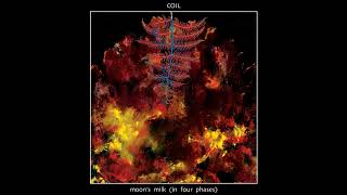 Coil  quotBanksidequot Official Remastered Audio [upl. by Jaquith]