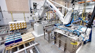 Fully automatic robot palletising system for boxes [upl. by Uthrop790]