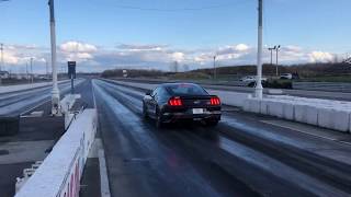 2016 Mustang GT 14 Mile 1037  1335 MPH Edelbrock EForce 2300 [upl. by Eutnoj]