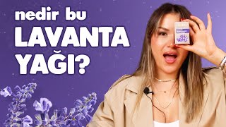 Lavanta Çeşitleri ve Lavanta Yağının Faydaları [upl. by Madelle]