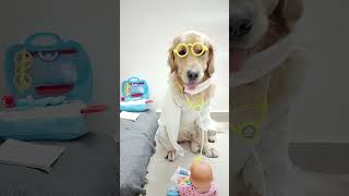 Shinchan doctor comedy dog shorts goldenretriever doglover puppy funny shinchan [upl. by Ennylhsa873]