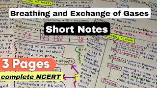 Breathing and Exchange of Gases  Short Handwritten Notes  NEET 2025 biology neet2025 [upl. by Niloc872]