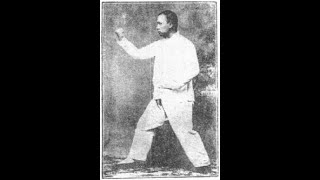 Zuan Quan Xingyiquan Fighting Techniques Vol 1 [upl. by Aleksandr776]