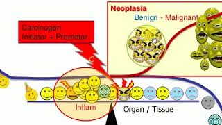 NEOPLASIA  1  Basics  PATHOLOGY LECTURES [upl. by Prakash]