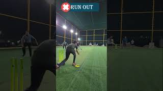 🏏 Epic Turf Cricket Moments HeartStopping Action 🏃‍♂️🏃‍♂️🧤 cricket sportsturf cricketgames [upl. by Yort]