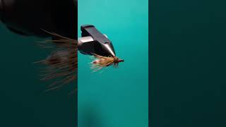 Caddis Emerger  My option [upl. by Sherborn229]