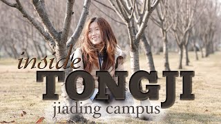 Inside Tongji University Jiading Campus  My Study Abroad Story [upl. by Mercola]