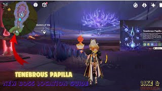 NEW BOSS LOCATION GUIDE TENEBROUS PAPILLA  52 VERSION GENSHIN IMPACT [upl. by Dulcie566]