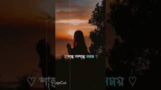 borbaad hoyechi ami songtitle banglasong shorts short [upl. by Leyameg401]